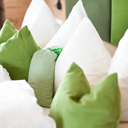 Boutique Erlacher Hotel 2*